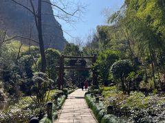 -十九峰景区