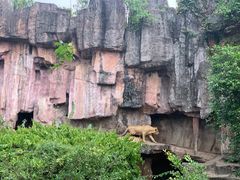 -长鹿旅游休博园