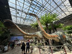 -国家自然博物馆