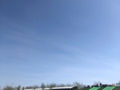 -北京鹿世界主题园