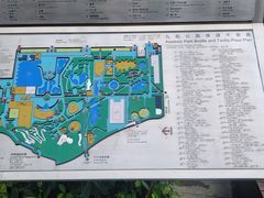 -九龙公园