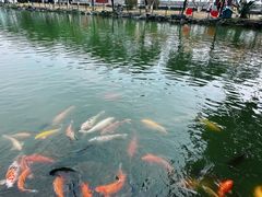 -珠海圆明新园