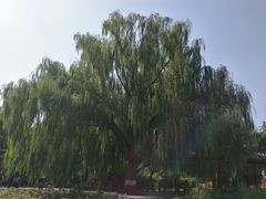 -满都海公园