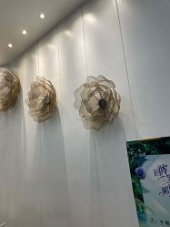 点击看大图 -YESIDO椰岛美容