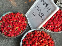 -江杨农产品批发市场