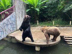 -贵州森林野生动物园