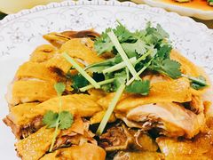 姜汁白切鸡-洪霞餐馆