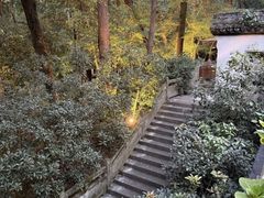 -宋宴(虎跑店)