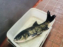 -宝荣鱼馆·临湖之宴(千岛湖店)