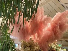 -春暖花开(西溪店)