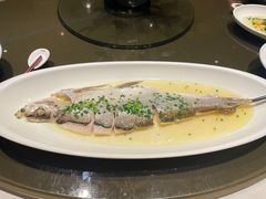 -上海人家花樣年华(中山公园店)