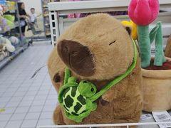 -沃尔玛(星湖商业城店)