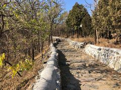 -阳台山自然风景区