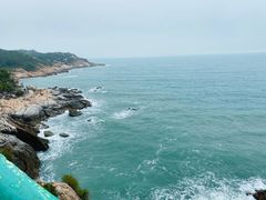 -广东惠东海龟国家级自然保护区