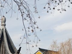 -圆通寺