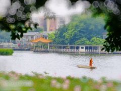 -荔湾湖公园