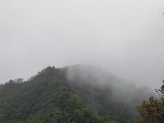 -田心森林公园