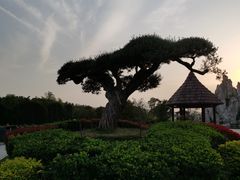 -南京银杏湖乐园