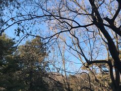 -香山公园-东宫门售票处