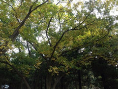 iphone_upload_pic-八大关景区