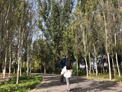 -东郊湿地公园