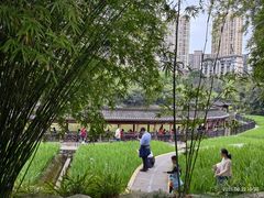 -龙头寺公园