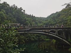-鼎湖山风景区