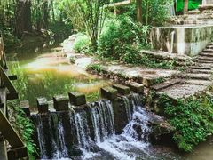 -凤栖山