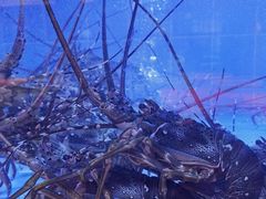 -绿岛国际酒店·海鲜酒楼(八七路店)