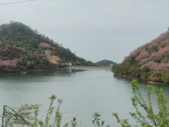 -四明山国家森林公园