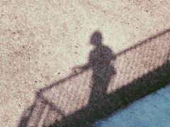 -春花秋色城市公园