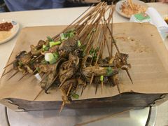 -晓靖轩烧烤(沙河风情店)