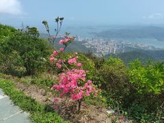 -梧桐山风景名胜区