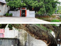-大旗头古村