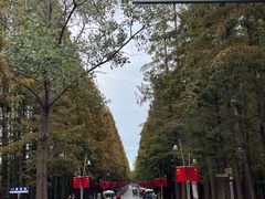 -日照海滨国家森林公园
