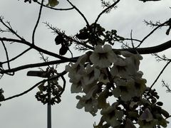 -苏州河梦清园环保主题公园