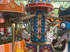 -南宫五洲植物乐园