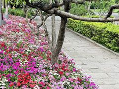 -西湖公园(鼓楼区)