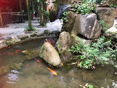 -凤栖山