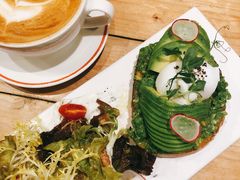 -Elephant Grounds(STARSTREET)