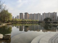 -木塔寺遗址生态公园