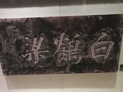 -白鹤梁水下博物馆