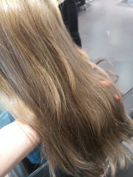 -东方麒麟·潘多拉SALON