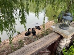 -静之湖度假区