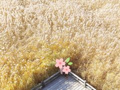 -野鸭湖国家湿地公园