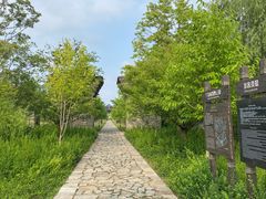 -广富林郊野公园