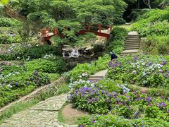 -鼓岭旅游度假区