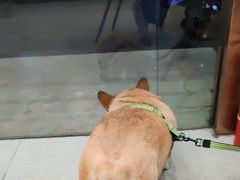 -宠颐生宠物医院·心肾内科·猫专科诊疗中心宠巢店