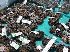 -麦德龙(嘉定店)