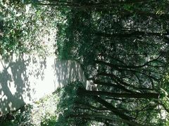 android_upload_pic-府山公园